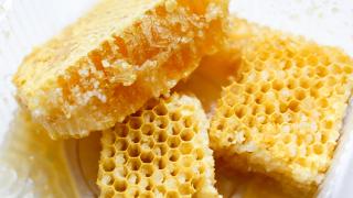 Cera Alba in der Nahaufnahme