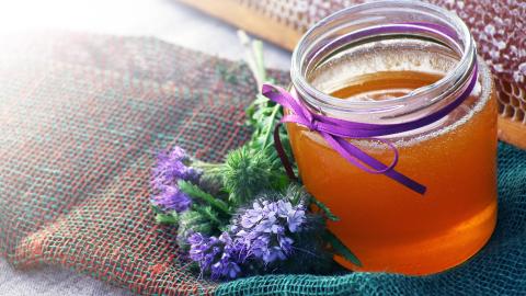 Phaceliahonig im Glas neben Blume