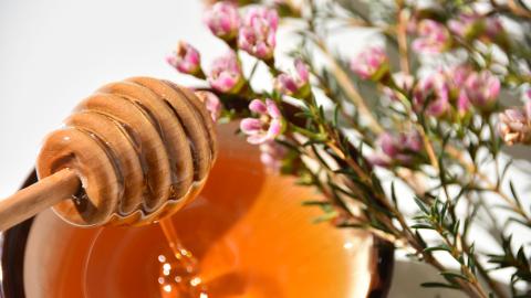 Manuka Honig neben Blüten