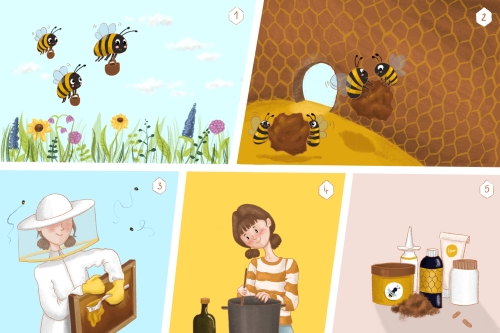 Gewinnung von Propolis