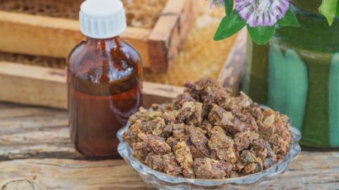 Propolis von Hanosan