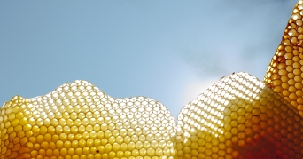 Sonnenwachsschmelzer Detailaufnahme