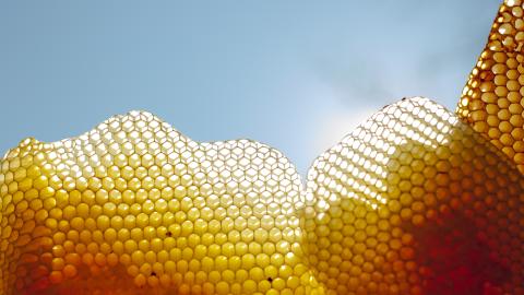 Sonnenwachsschmelzer Detailaufnahme