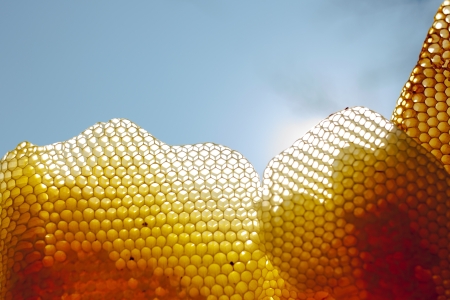 Sonnenwachsschmelzer Detailaufnahme