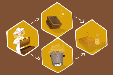 Bienenwachsgewinnung