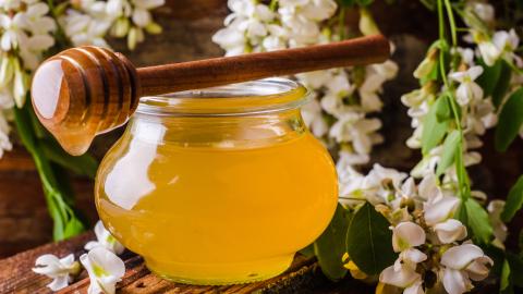 Akazienhonig vor Blüten