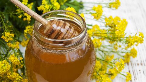 Rapshonig auf Tisch mit Rapsblüten