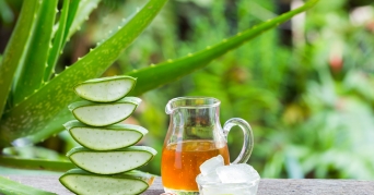 Aloe Vera Propolis Creme vor grünen Pflanzen