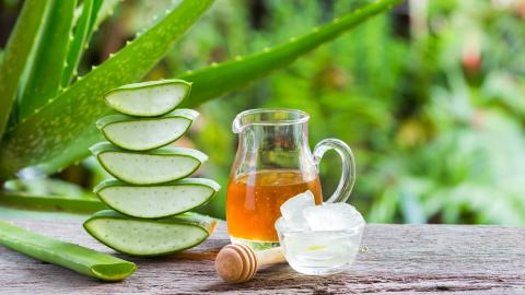 Aloe Vera Propolis Creme vor grünen Pflanzen