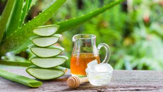 Aloe Vera Propolis Creme vor grünen Pflanzen