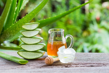 Aloe Vera Propolis Creme vor grünen Pflanzen