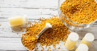 Gelee Royal Pulver und Gläser auf Tisch