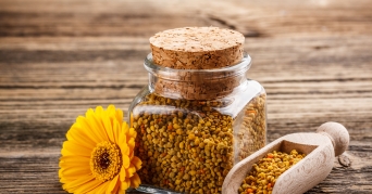 Bienenpollen dient zum Abnehmen Bienenpollen dient zum Abnehmen