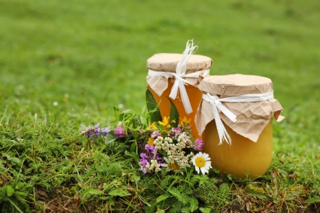 Heidehonig auf Weide / Wiese