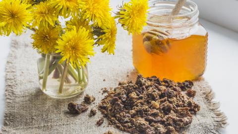 Aagaard Propolis im Glas neben Blumen auf
                                          Tisch