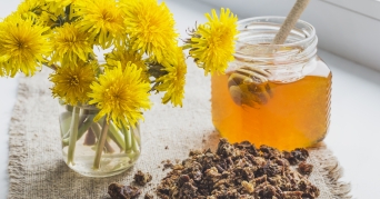 Aagaard Propolis im Glas neben Blumen auf Tisch