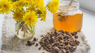 Aagaard Propolis im Glas neben Blumen auf Tisch