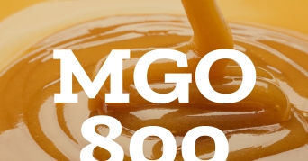 Manuka Honig MGO 800