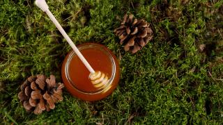 Waldhonig im Glas auf Waldboden